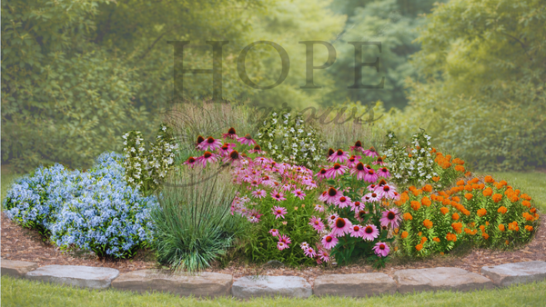 Sunny Pollinator Garden — Expanded (15 Plants)