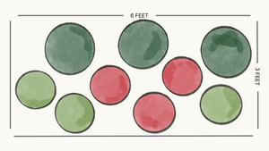 Dry Shade Garden (9 Plants)