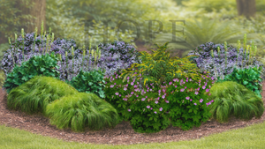 Shady Layered Garden Expanded (15 Plants)