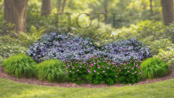 Shady Layered Garden (9 Plants)