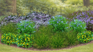 Woodland Edge Garden Expanded (15 Plants)