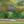 Sunny Border Garden Expanded (15 Plants)