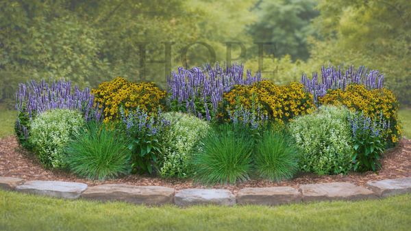 Sunny Border Garden Expanded (15 Plants)
