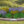 Sunny Border Garden (9 Plants)