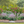 Sunny Meadow–Inspired Garden Expanded (15 Plants)