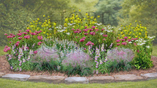 Sunny Meadow–Inspired Garden Expanded (15 Plants)