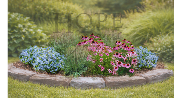 Sunny Pollinator Garden (9 Plants)