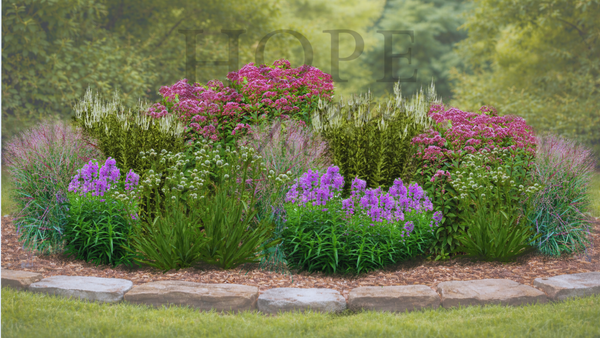 Sunny Structured Garden Expanded (15 Plants)