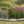 Sunny Structured Garden (9 Plants)