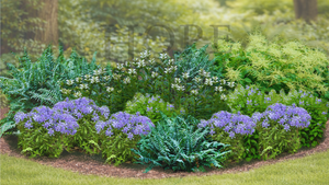 Woodland Wildflower Garden Expanded  (15 Plants)