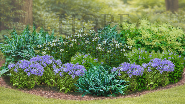 Woodland Wildflower Garden Expanded  (15 Plants)